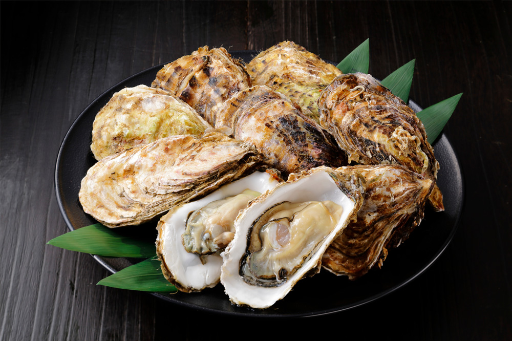 牡蠣「翔馬」販売