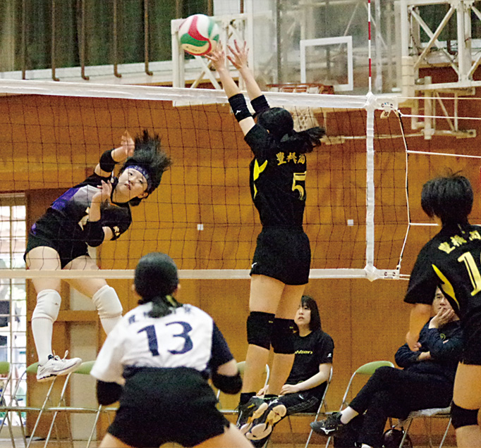 中央男子、藤ノ花女子順当V