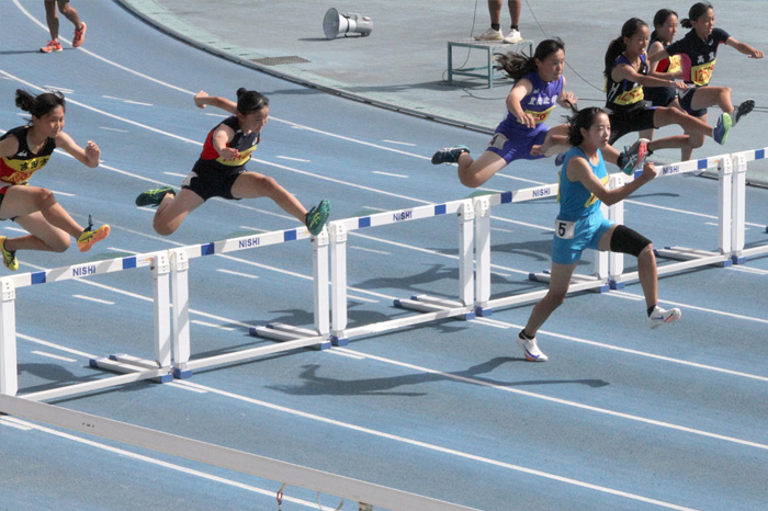 新戦力デビュー