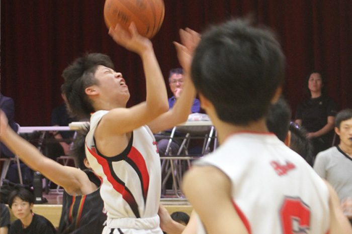 次代の主役 躍動デビュー