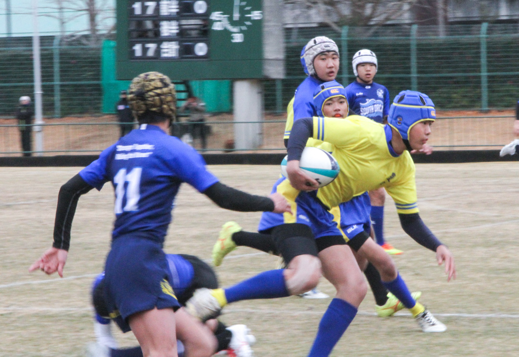 愛知県中学生ラグビー新人大会　豊橋ラグビースクール　連覇へ視界良好