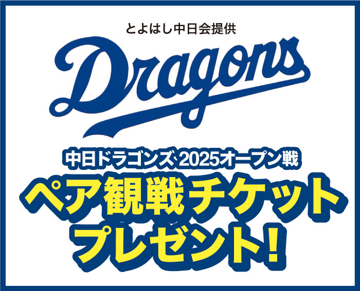 中日ドラゴンズペア観戦チケット