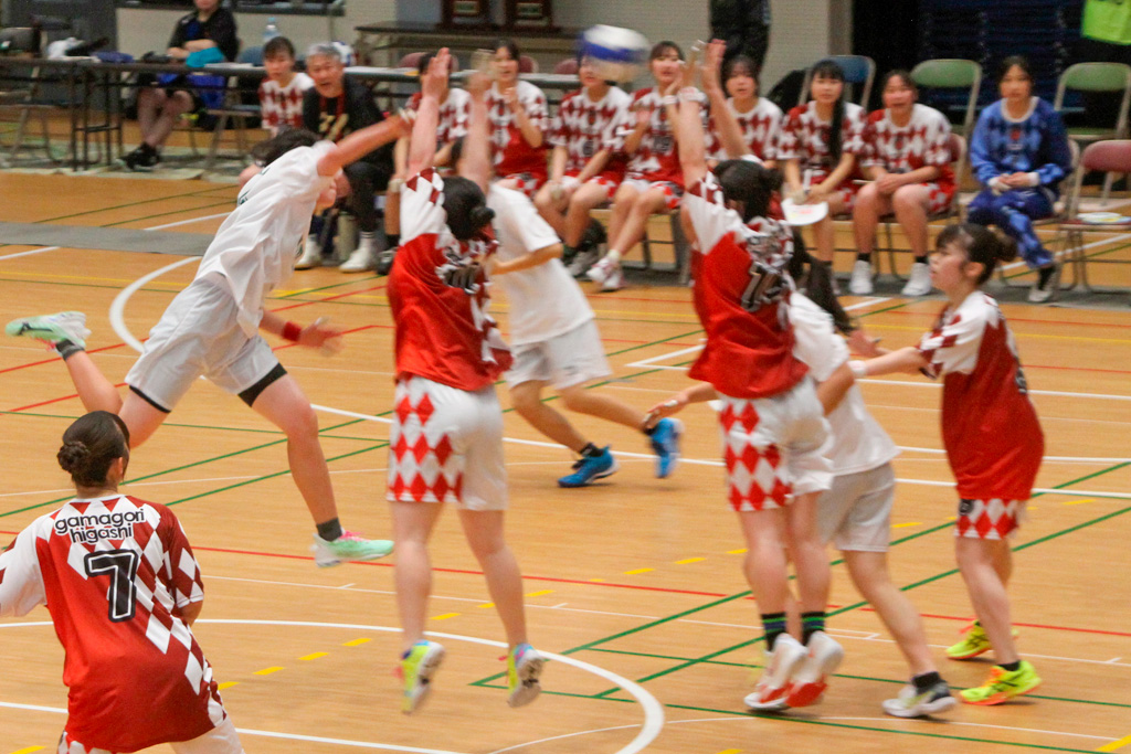 豊丘女子あと一歩の準V ハンドボール