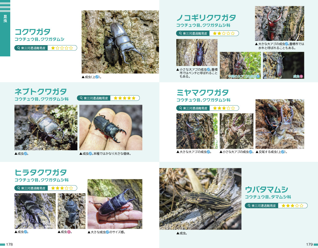 水の育てかた 昆虫