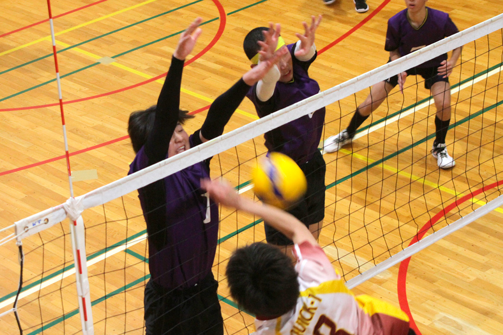 SalireStarsToyohashi進化のV